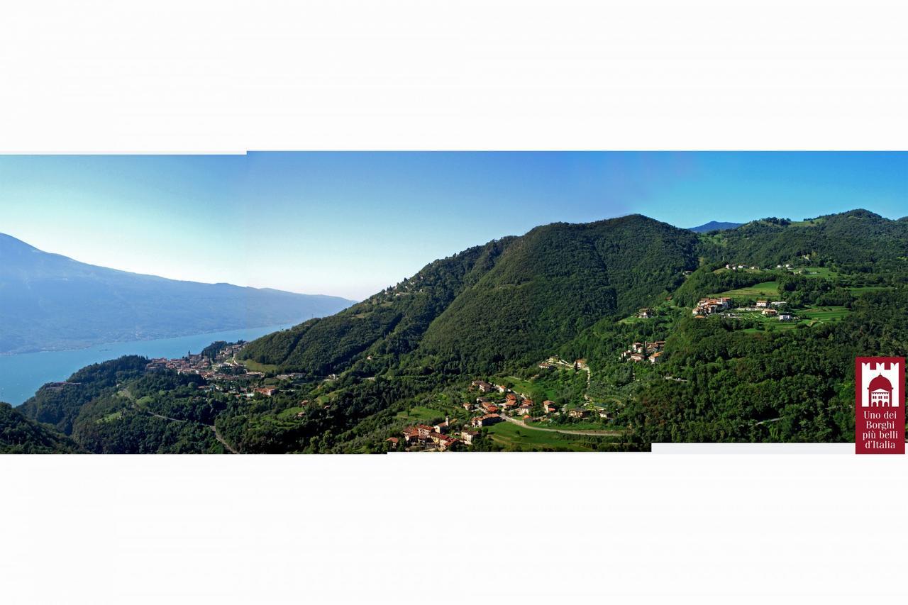 Villetta Ulivi Ca7 Sun Terrace By Gardadomusmea Tremosine Екстер'єр фото