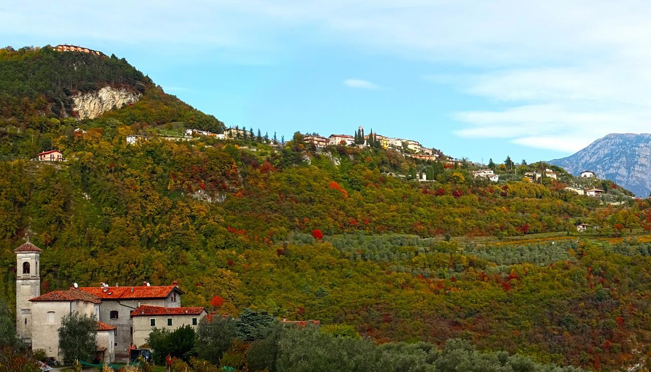 Villetta Ulivi Ca7 Sun Terrace By Gardadomusmea Tremosine Екстер'єр фото